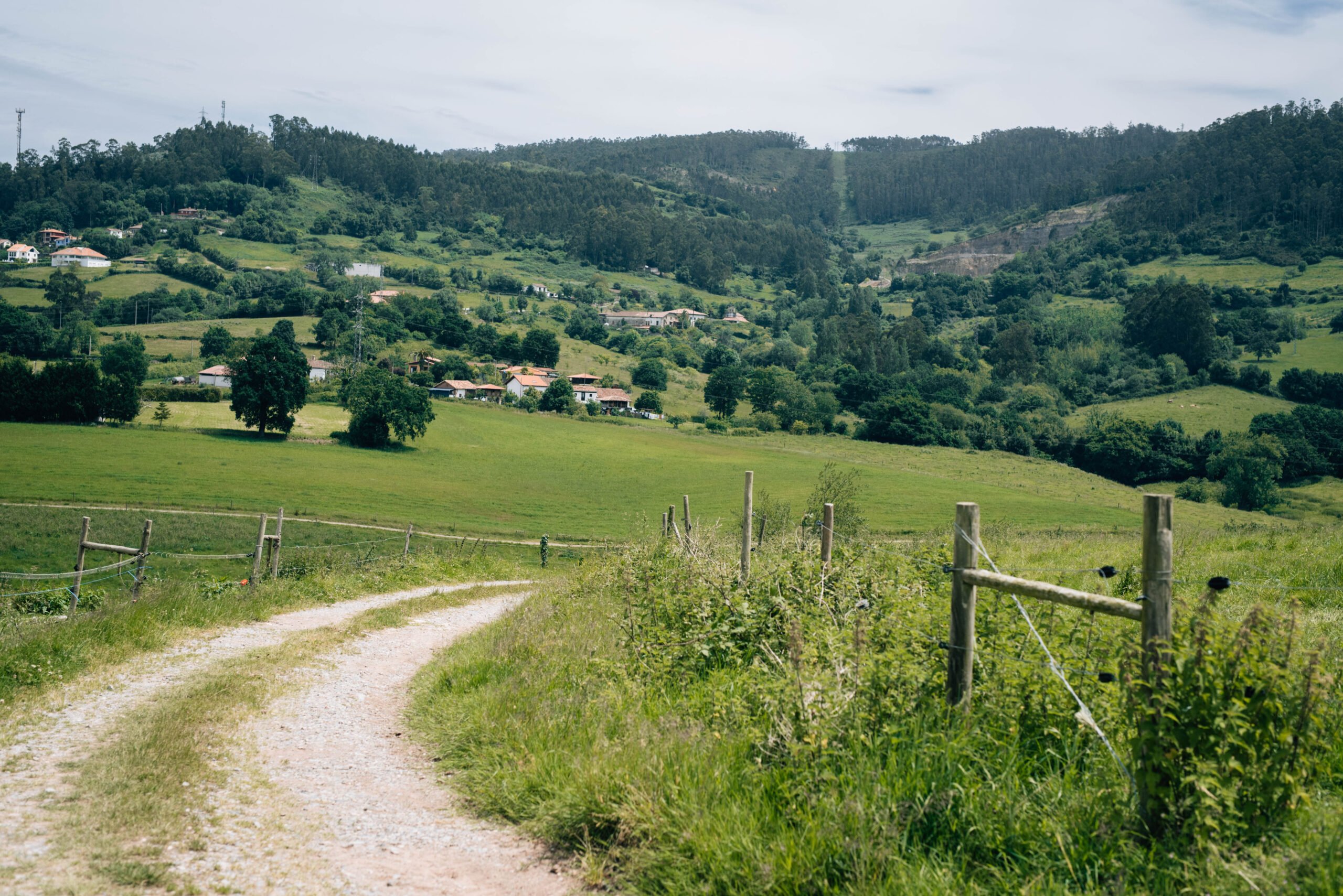¿Por qué RULESSWASTE? Comprender el desperdicio alimentario en la Asturias rural