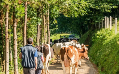 CAPSA: Compromiso territorial, economía circular e impacto social