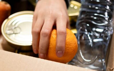 Turning diagnosis into action: the next step for RULESSWASTE